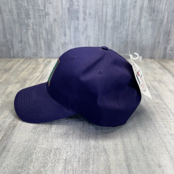 Arizona Diamondbacks MLB Vintage Purple Twins Enterprise Strapback Hat NWT - Picture 2 of 13
